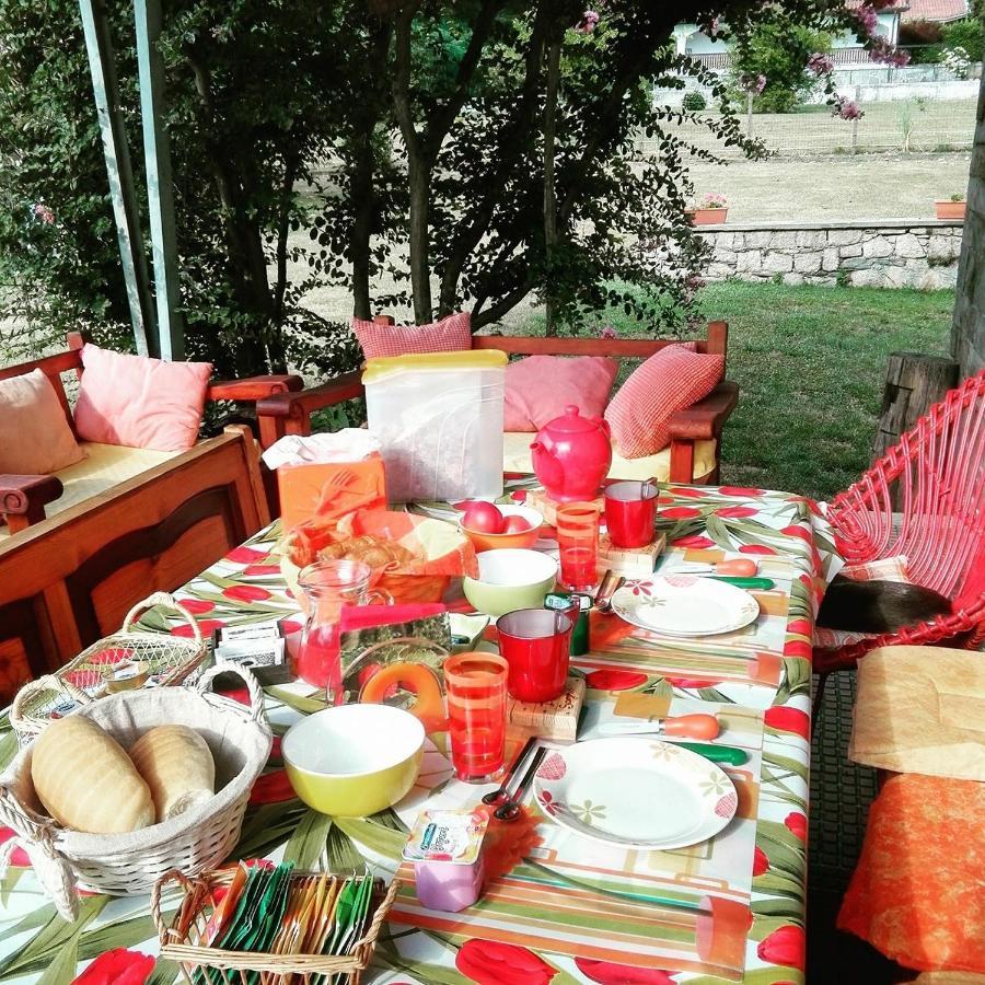 B&B Il Tempo Del Sogno Con Cani E Gatti Pet&Breakfast Baveno Kültér fotó