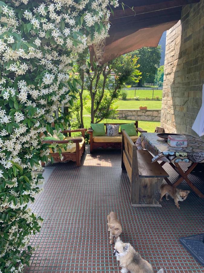 B&B Il Tempo Del Sogno Con Cani E Gatti Pet&Breakfast Baveno Kültér fotó