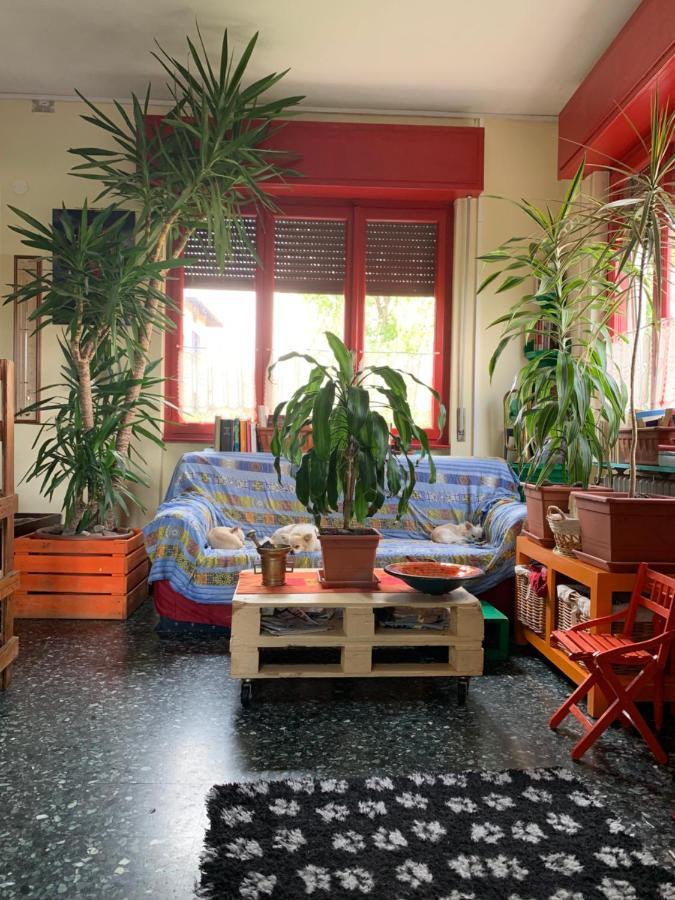 B&B Il Tempo Del Sogno Con Cani E Gatti Pet&Breakfast Baveno Kültér fotó