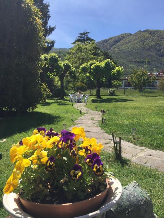 B&B Il Tempo Del Sogno Con Cani E Gatti Pet&Breakfast Baveno Kültér fotó